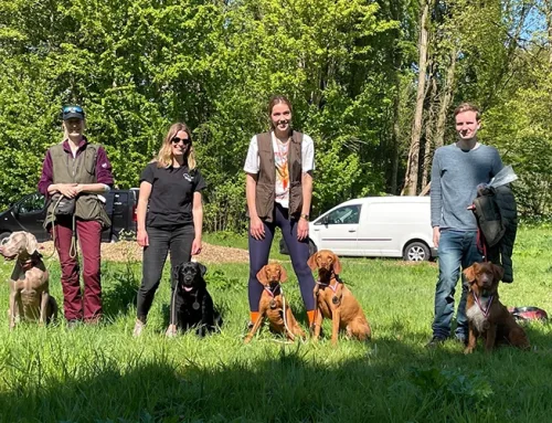 New: Retrieving Sport Training in Delft